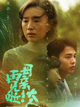 您好！母親大人